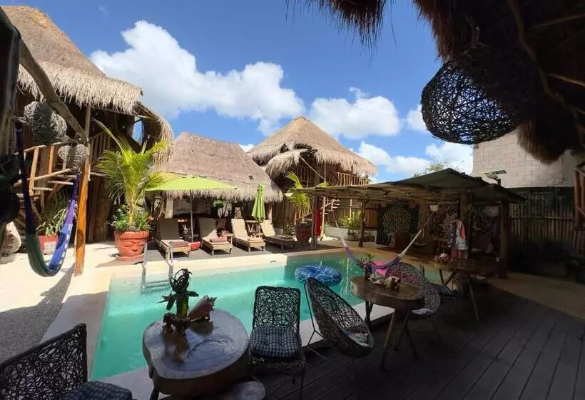 Hotelli Jungla Y Estrellas