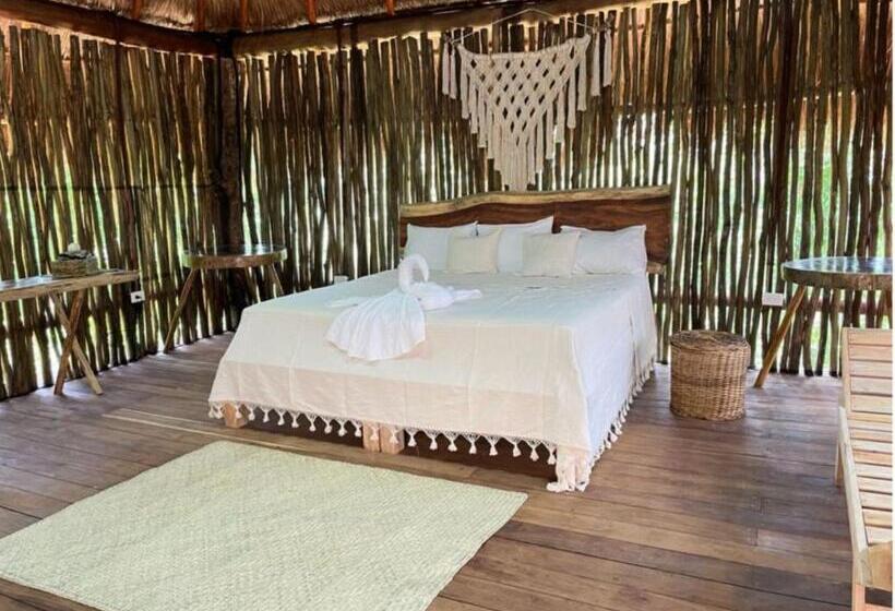 فندق Jungla Y Estrellas