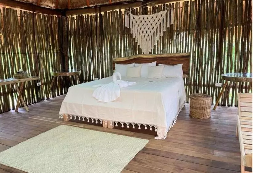 Hotelli Jungla Y Estrellas