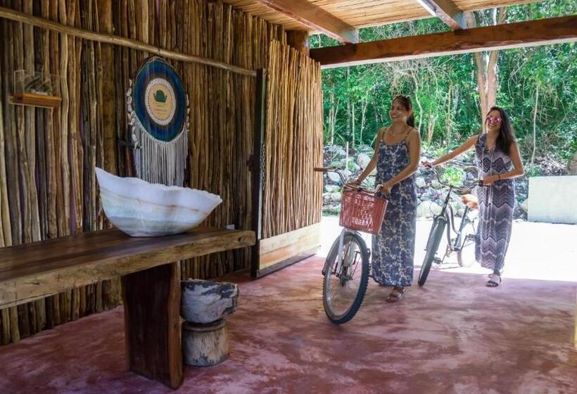 فندق Jungla Y Estrellas