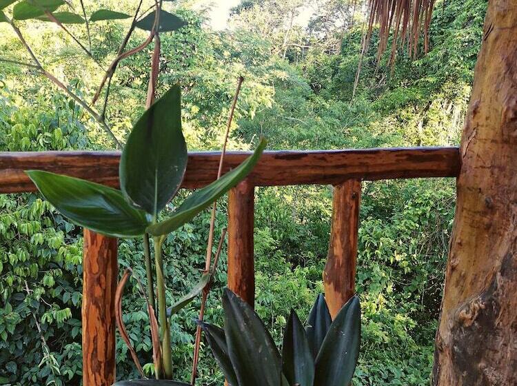 فندق Jungla Y Estrellas