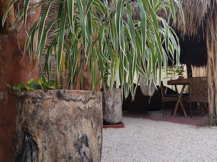 فندق Jungla Y Estrellas