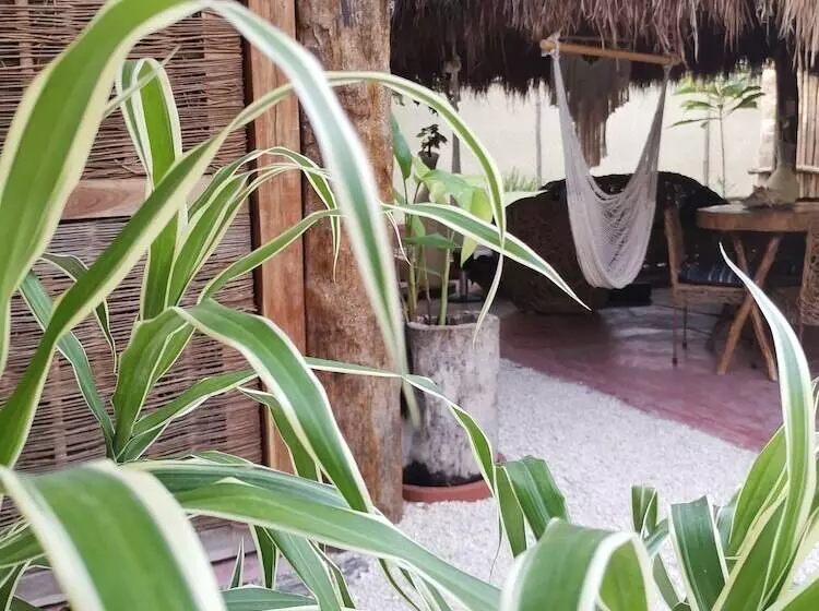 Hotelli Jungla Y Estrellas