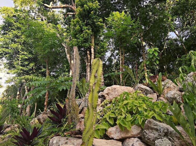 فندق Jungla Y Estrellas