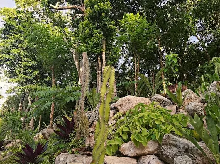 Hotelli Jungla Y Estrellas