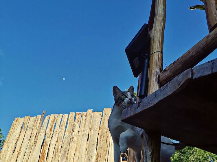 فندق Jungla Y Estrellas