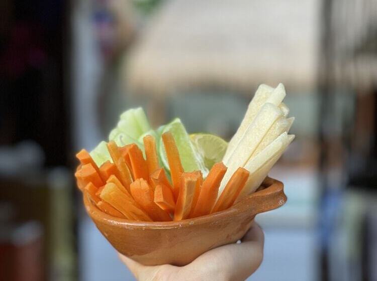 فندق Jungla Y Estrellas