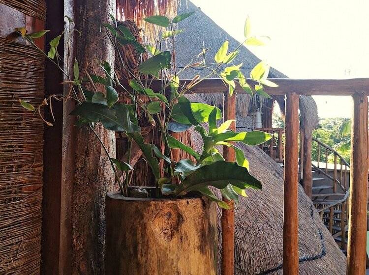 فندق Jungla Y Estrellas