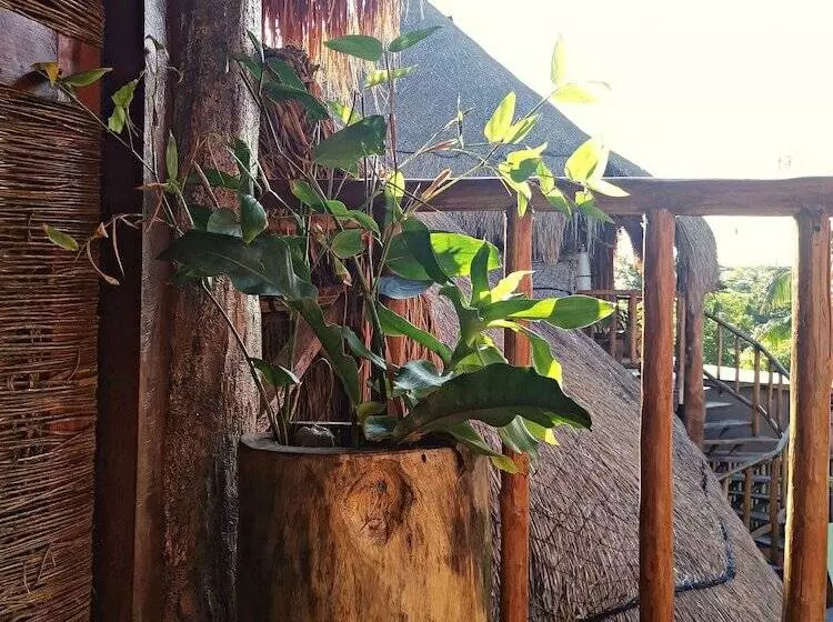 Hotelli Jungla Y Estrellas