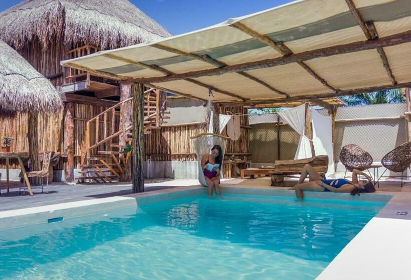 فندق Jungla Y Estrellas