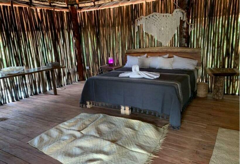 فندق Jungla Y Estrellas