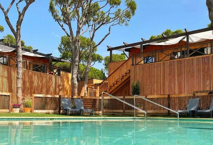 Nuevos Apartamentos Biopasivos Living Pura Madera