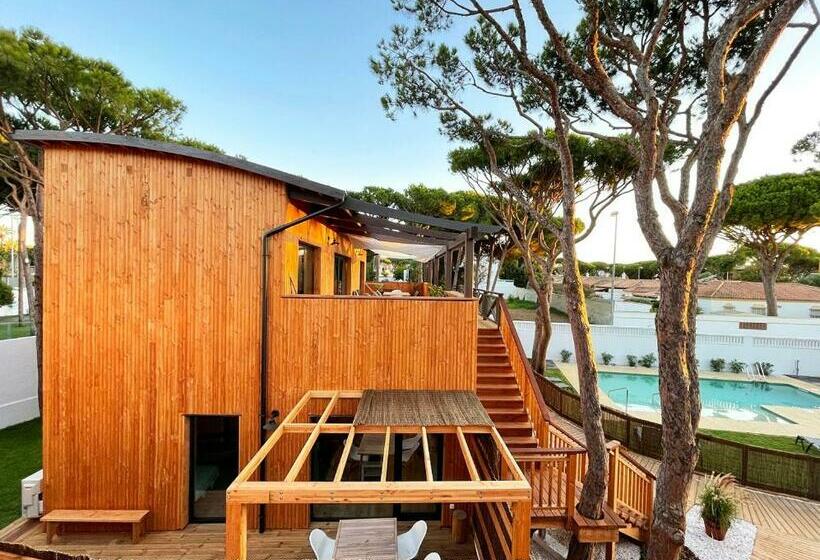 Nuevos Apartamentos Biopasivos Living Pura Madera