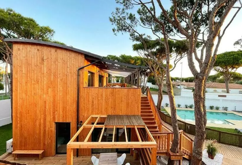 Nuevos Apartamentos Biopasivos Living Pura Madera