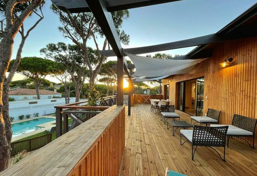 Nuevos Apartamentos Biopasivos Living Pura Madera