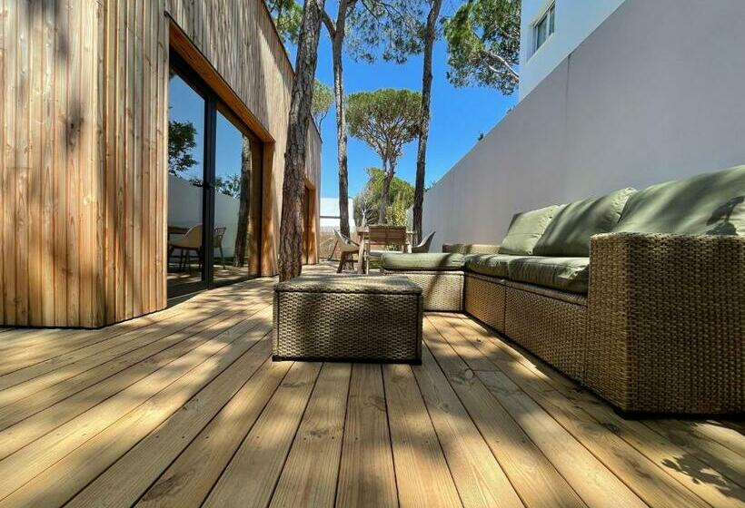 Nuevos Apartamentos Biopasivos Living Pura Madera