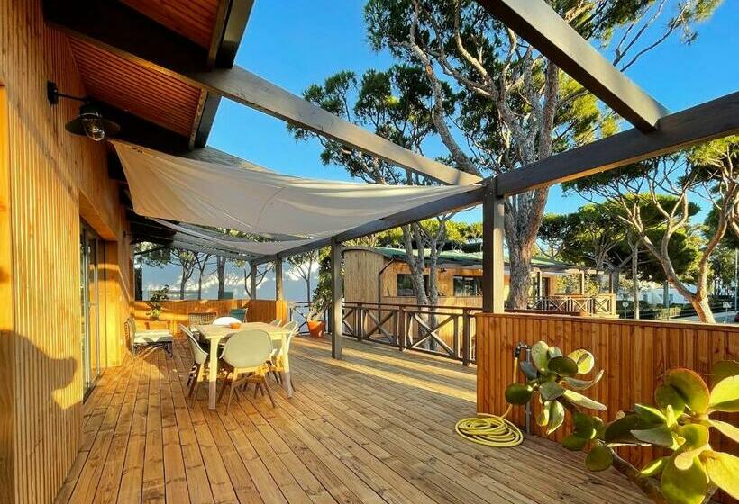 Nuevos Apartamentos Biopasivos Living Pura Madera