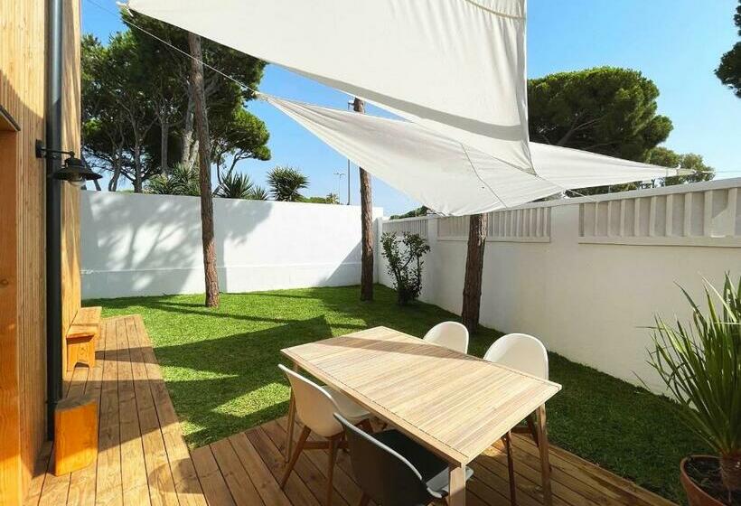 Nuevos Apartamentos Biopasivos Living Pura Madera