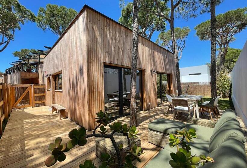 Nuevos Apartamentos Biopasivos Living Pura Madera