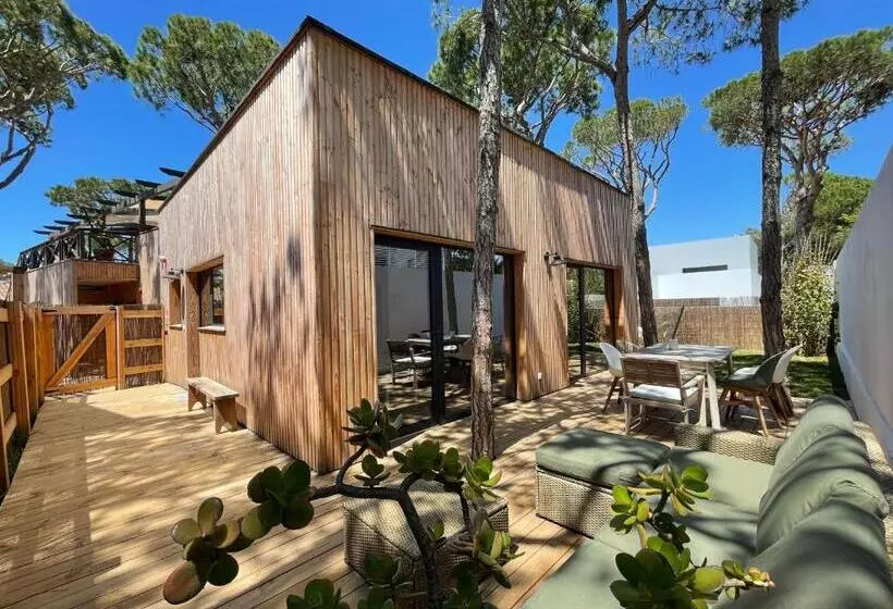 Nuevos Apartamentos Biopasivos Living Pura Madera