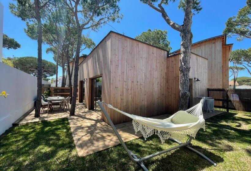 Nuevos Apartamentos Biopasivos Living Pura Madera