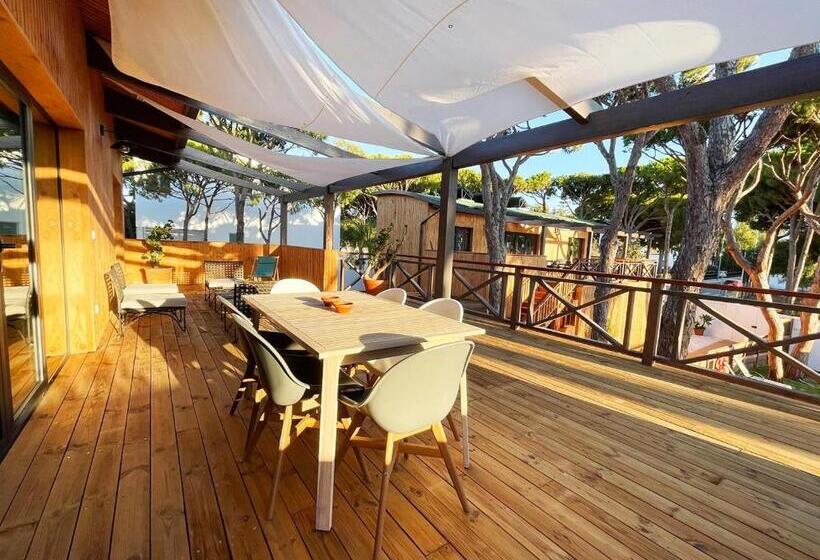 Nuevos Apartamentos Biopasivos Living Pura Madera