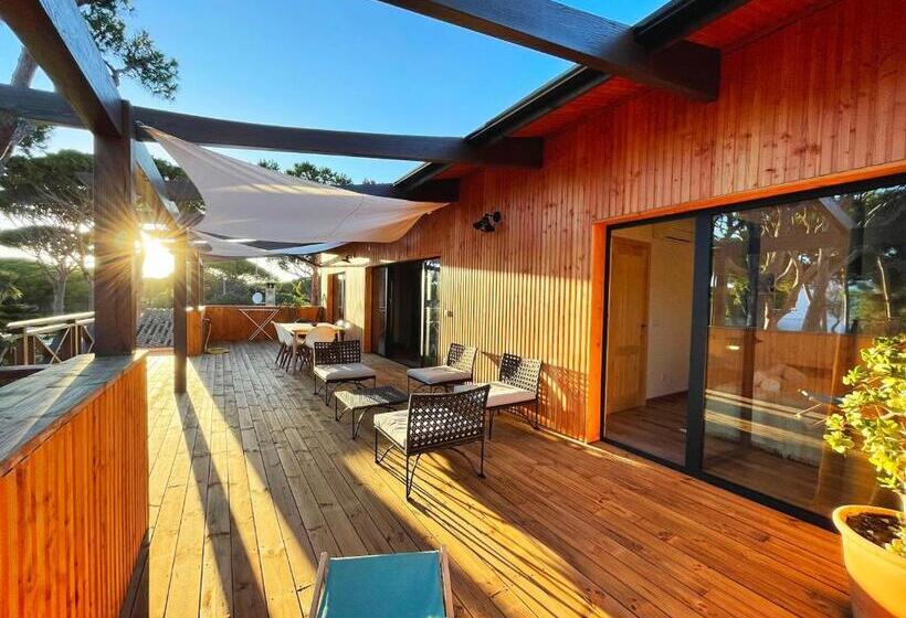 Nuevos Apartamentos Biopasivos Living Pura Madera