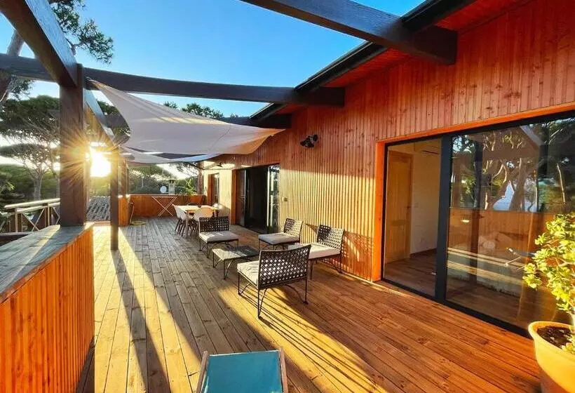 Nuevos Apartamentos Biopasivos Living Pura Madera