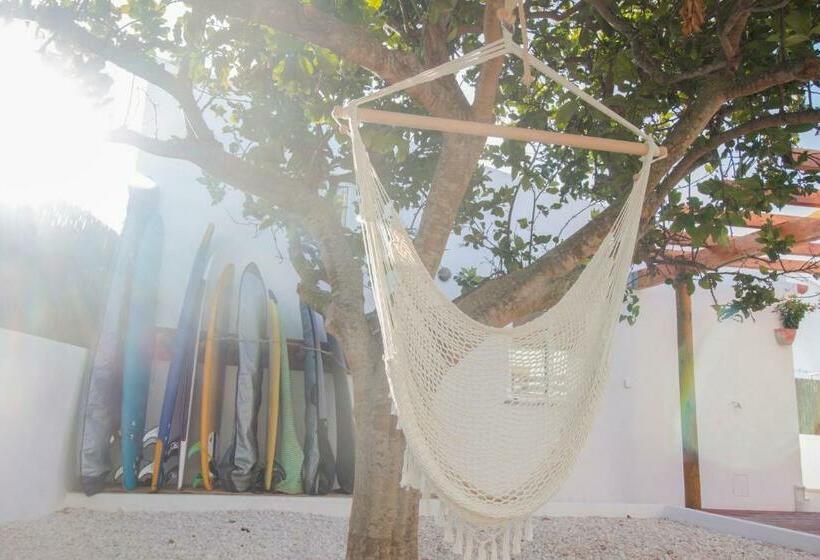 پانسیون Lemontree Eco Surfhouse