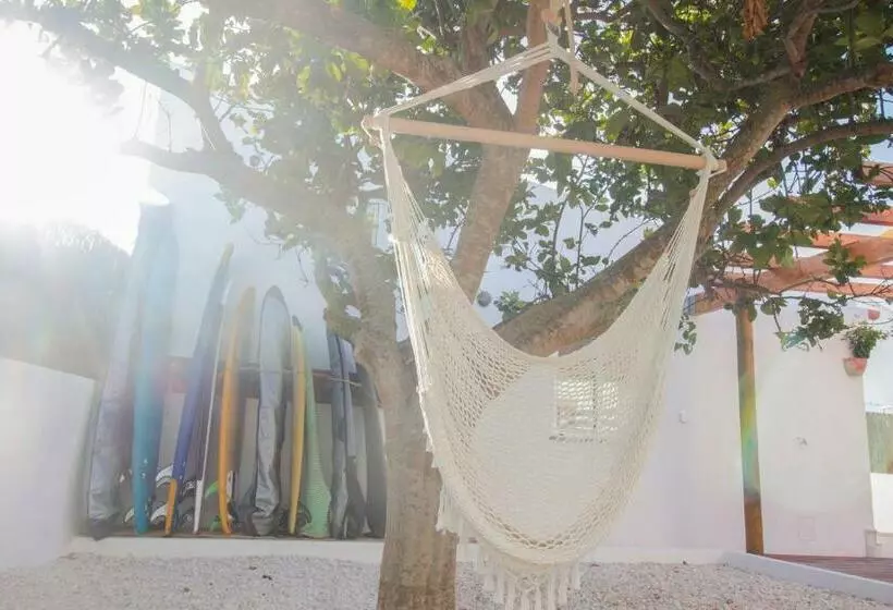 پانسیون Lemontree Eco Surfhouse