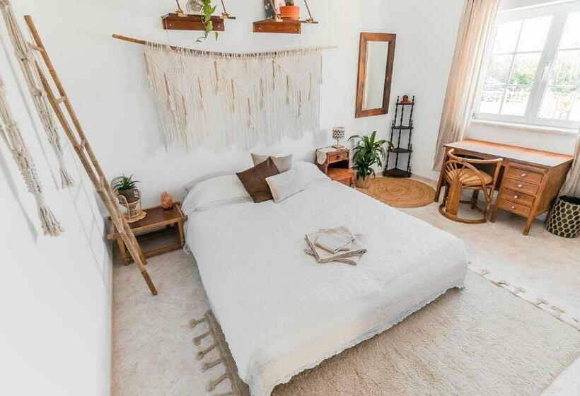 پانسیون Lemontree Eco Surfhouse