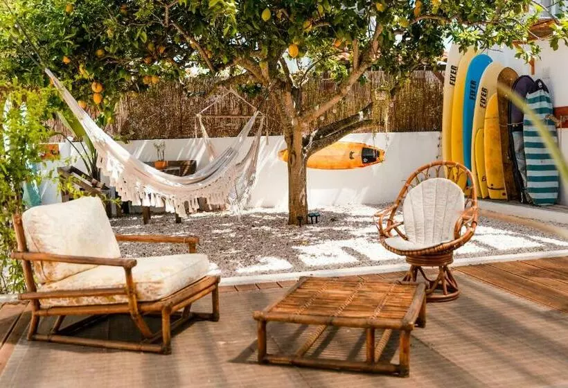 پانسیون Lemontree Eco Surfhouse