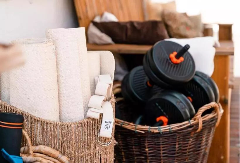 پانسیون Lemontree Eco Surfhouse