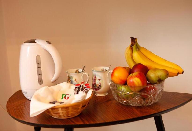 펜션 Swan Guest House London   Heathrow