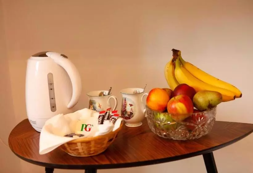 Majatalo Swan Guest House London   Heathrow