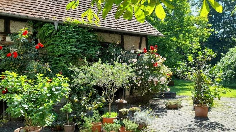 펜션 Villaflora Gästehaus