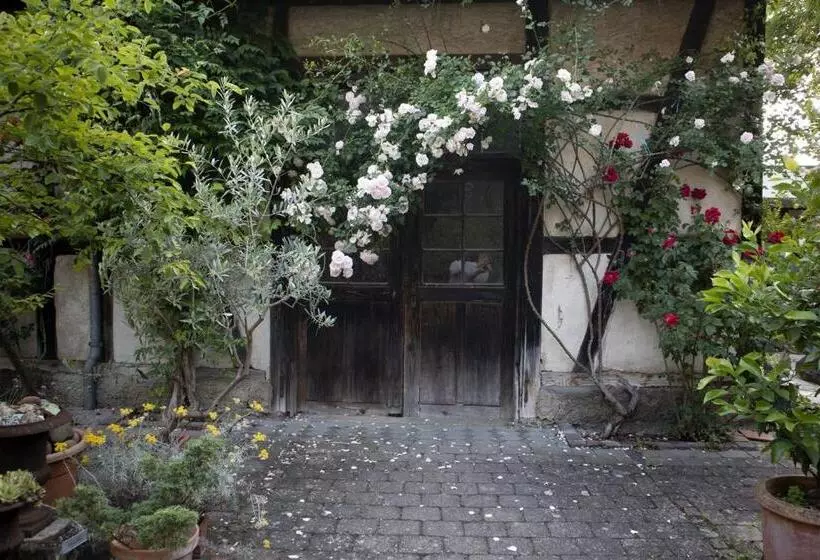 Majatalo Villaflora Gästehaus