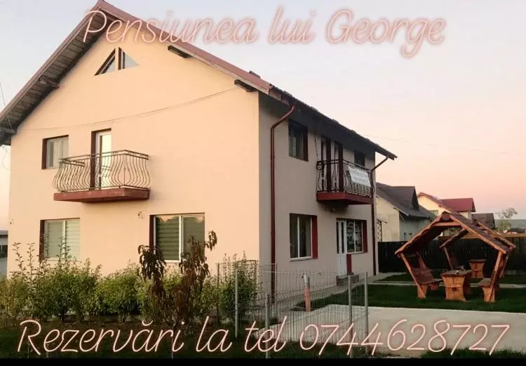 Pensiunea Lui George