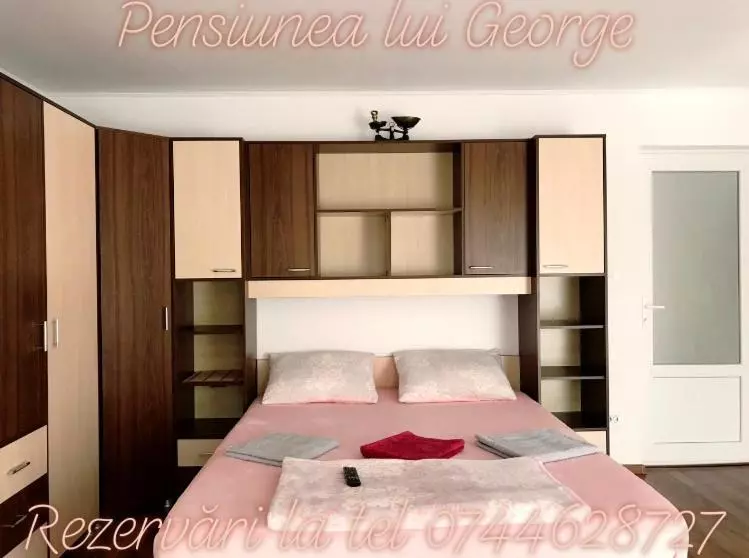 Pensiunea Lui George