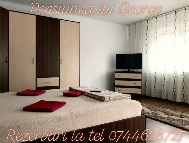 Pensiunea Lui George