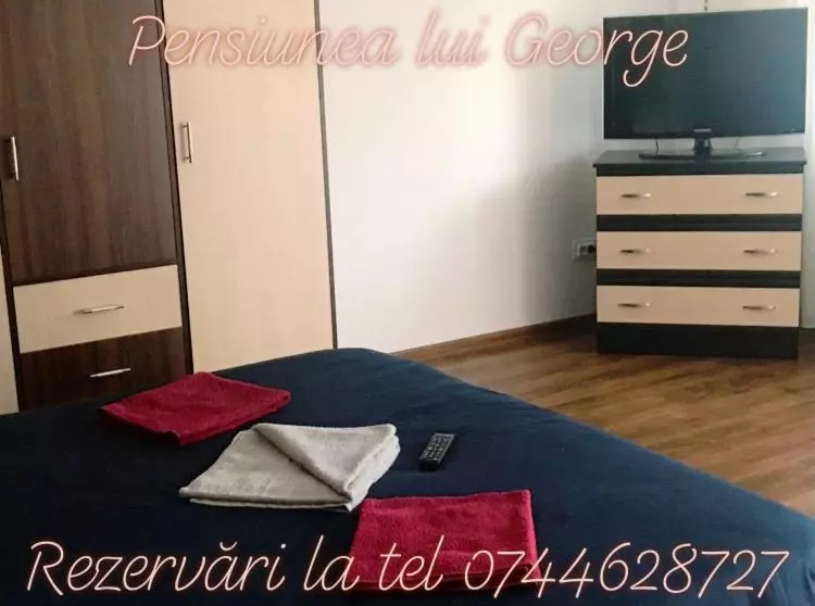 Pensiunea Lui George