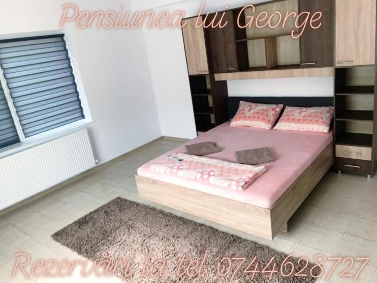 Pensiunea Lui George