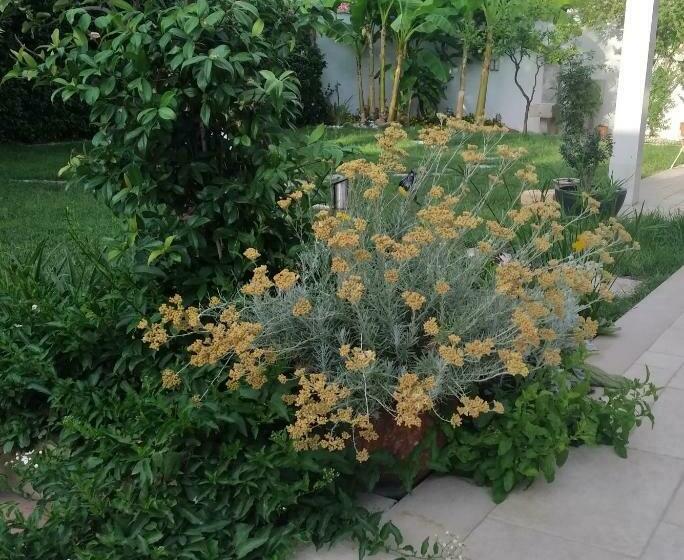 צימר Villa Allegra