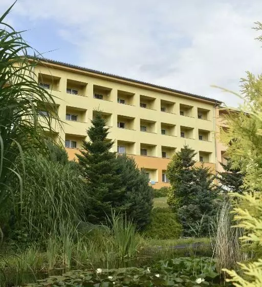 Ubytování Hanka V Hotelovém Pokoji C408 Top View