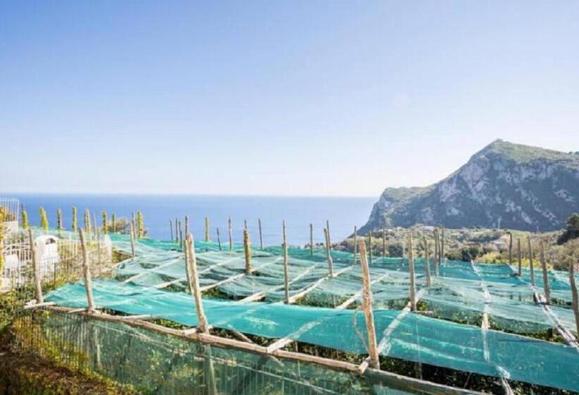 膳宿费 Villa Mariel Suites & Apartment