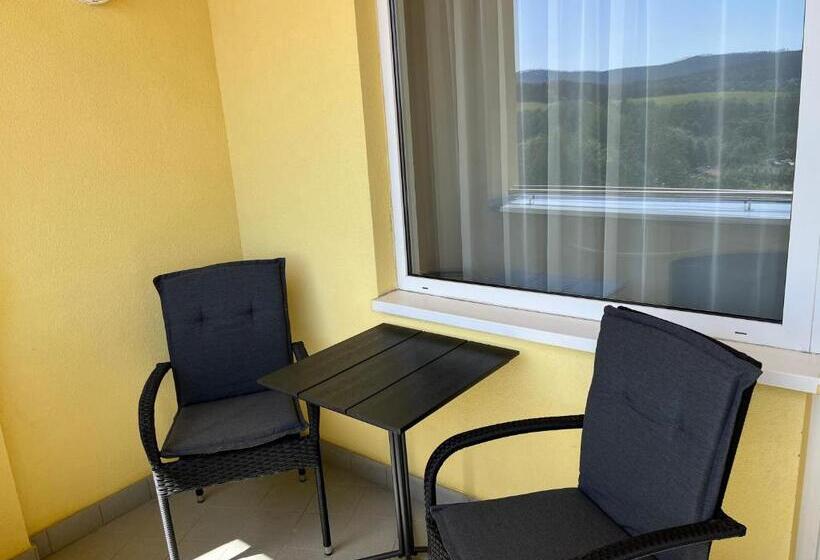 Ubytování Hanka V Hotelovém Pokoji C408 Top View