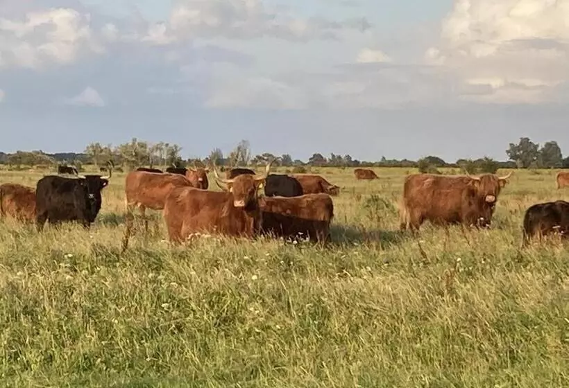 Aamiaismajoitus (B&B) Appartement Greidesicht Kollumerpomp
