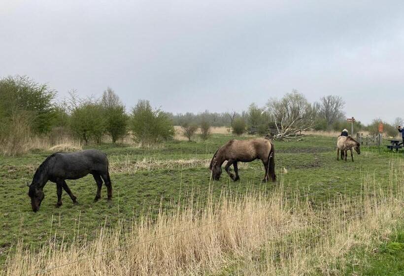 住宿加早餐  Appartement Greidesicht Kollumerpomp