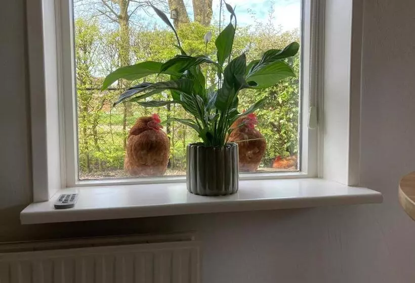 Aamiaismajoitus (B&B) Appartement Greidesicht Kollumerpomp