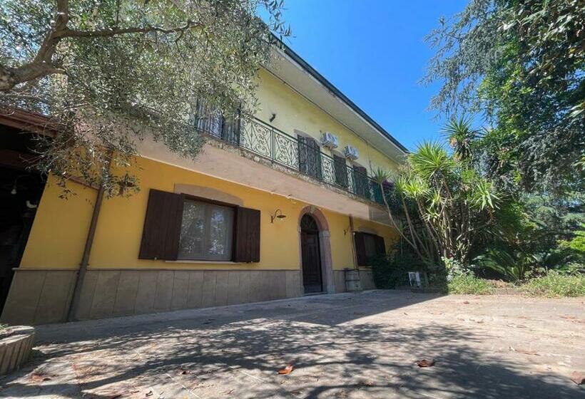 住宿加早餐  Agriturismo Al Gallo Verde